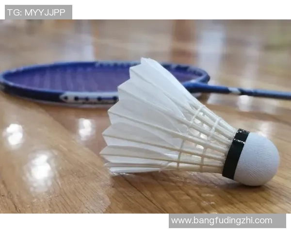 重庆羽毛球队包夹战术解析与深度剖析之道