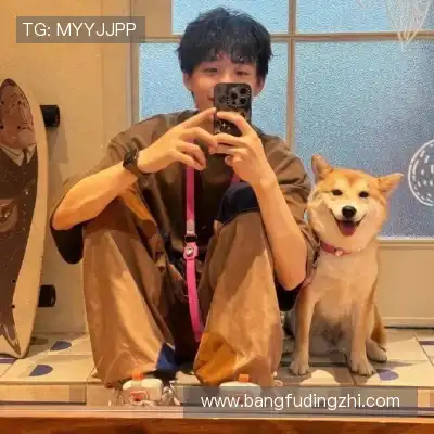 窦耿禹