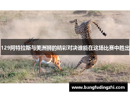 129阿特拉斯与美洲狮的精彩对决谁能在这场比赛中胜出